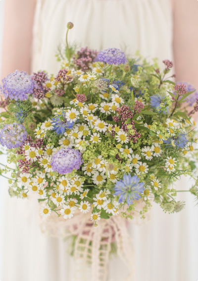 campagna カンパーニャ