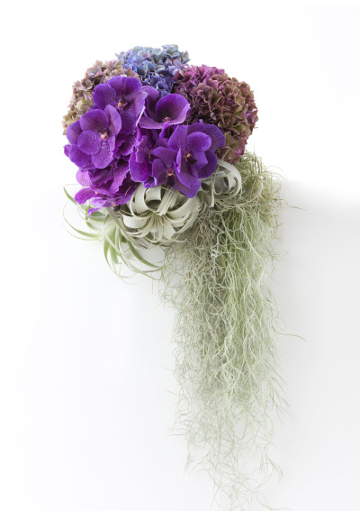 nuovo ヌォーヴォ